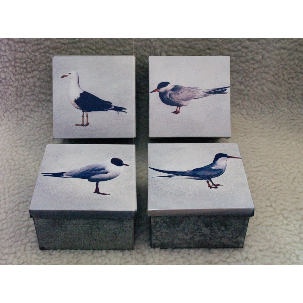 58_zinkenvogeldoosjes