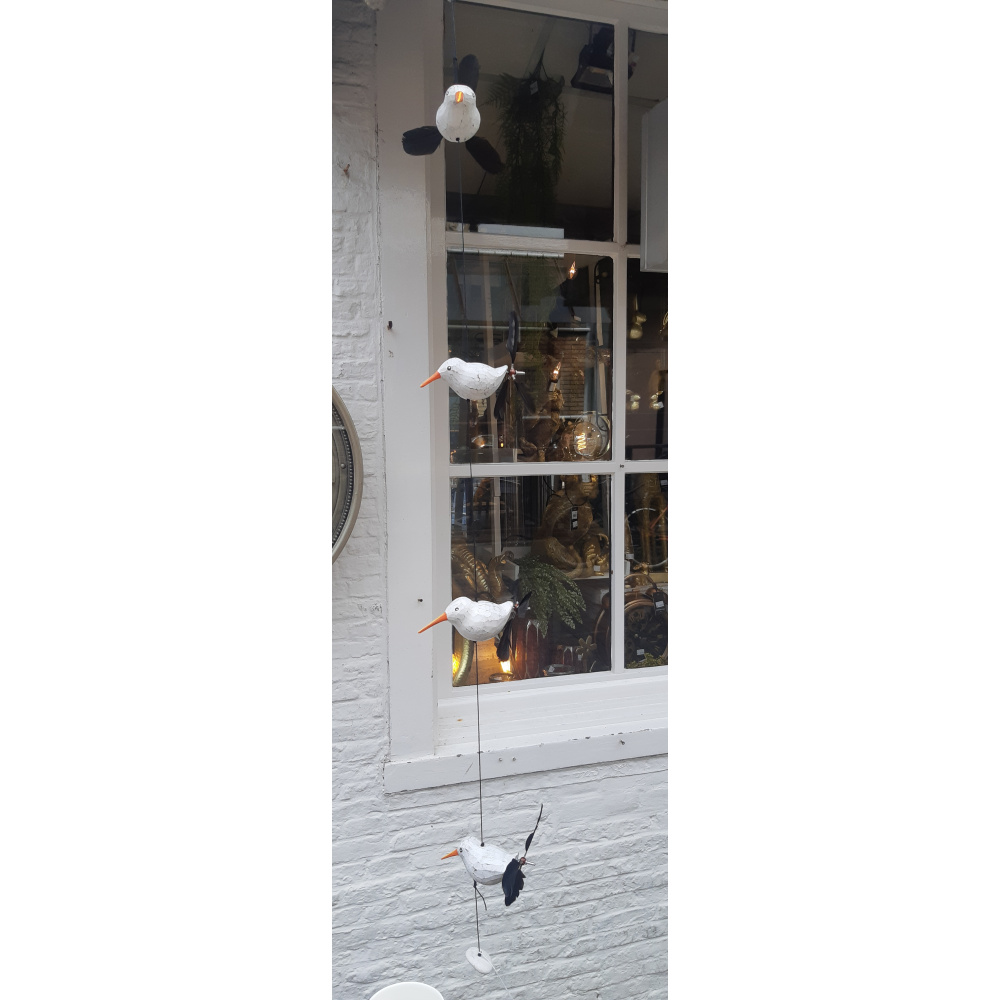draaivogels_951449338