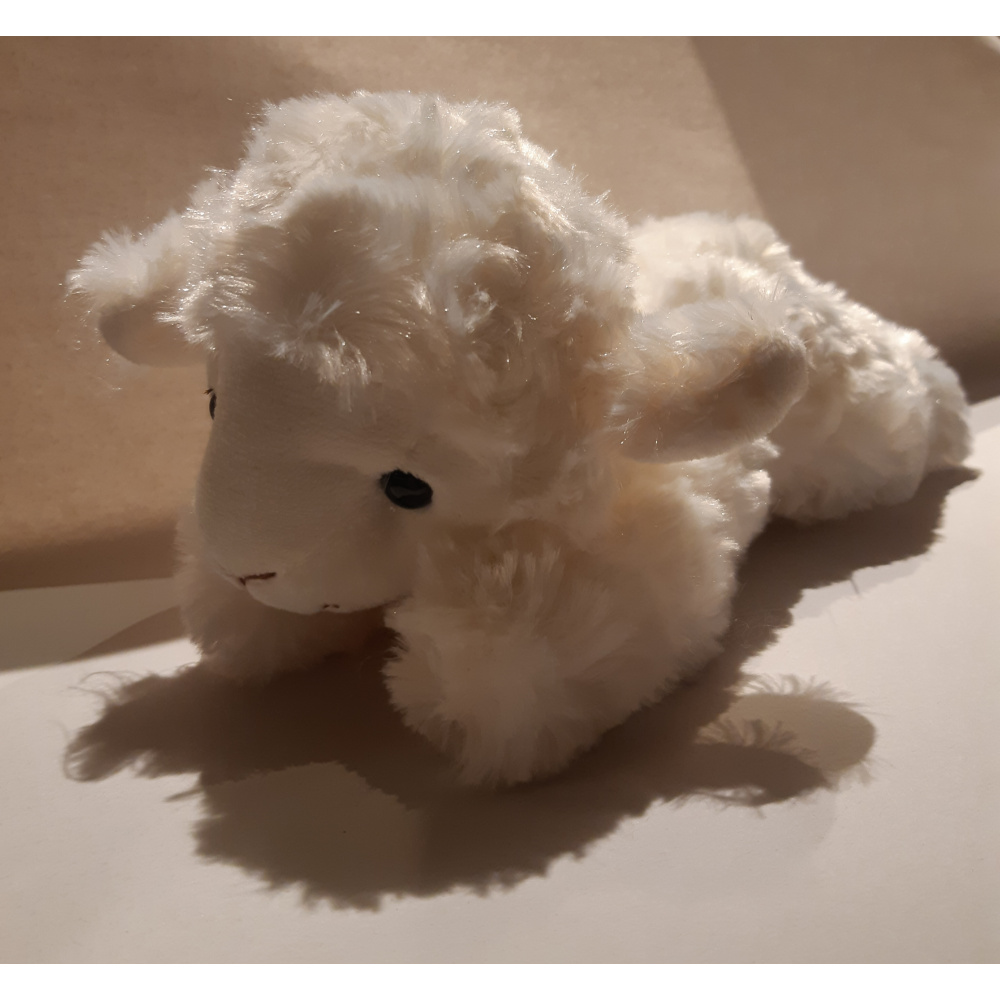ligschaap
