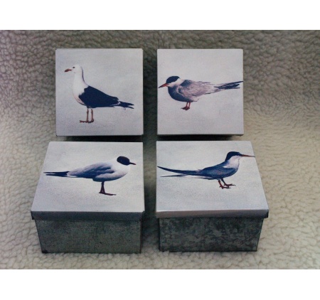 58_zinkenvogeldoosjes