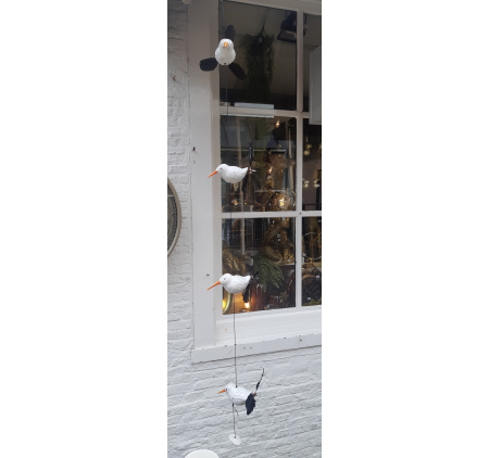 draaivogels_951449338