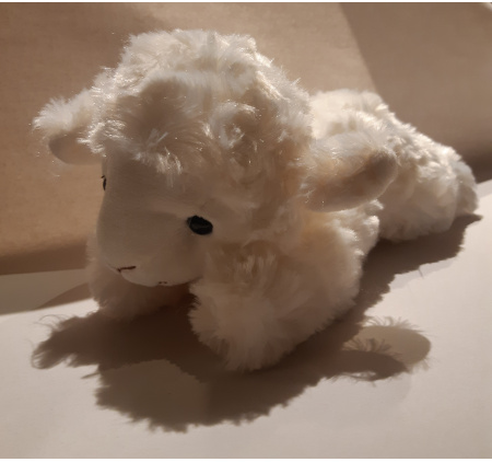ligschaap