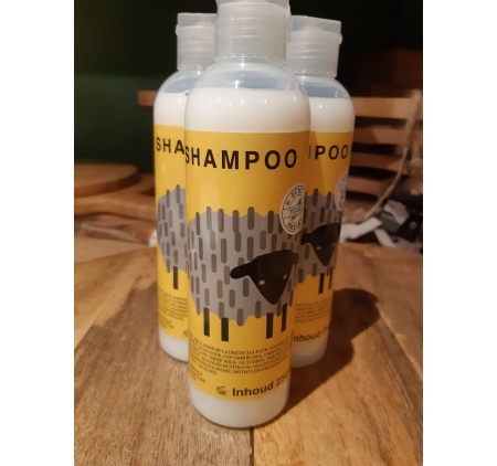 shampoo